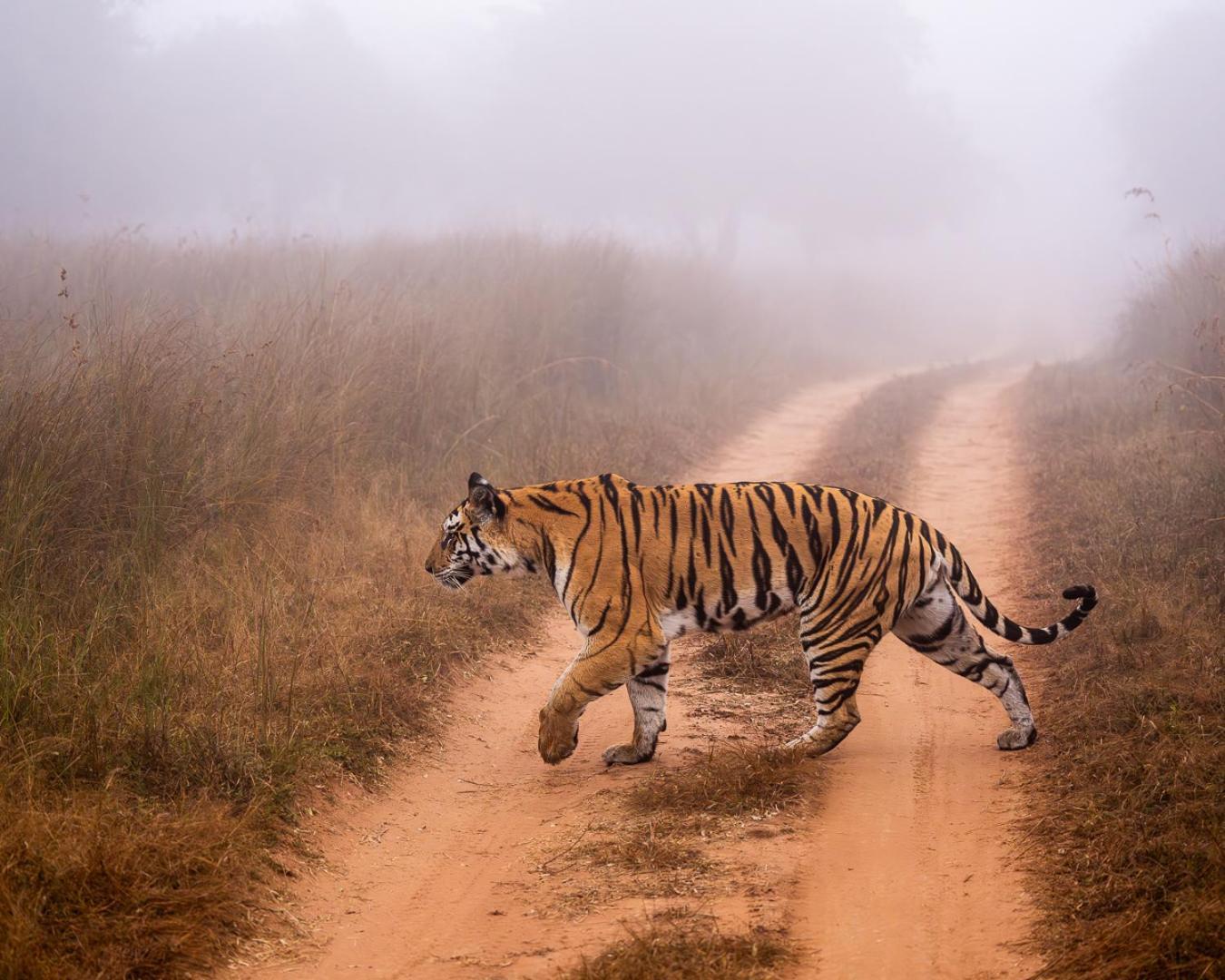 Khajuraho Glory Homestay Zewnętrze zdjęcie