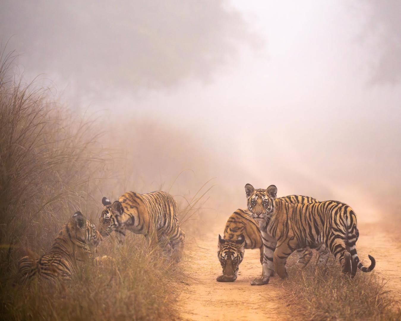 Khajuraho Glory Homestay Zewnętrze zdjęcie